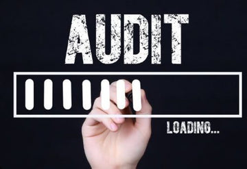 Statutory Audits